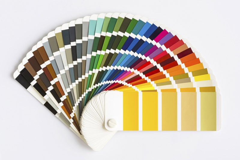 Color Palette Guide